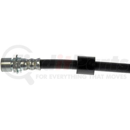 H621469 by DORMAN - Brake Hydraulic Hose