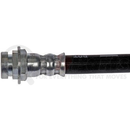 Dorman Products H621301 Tubo Freno Idraulico - Ricambio Diretto Con Raccordo Banjo E Rondelle Di Rame