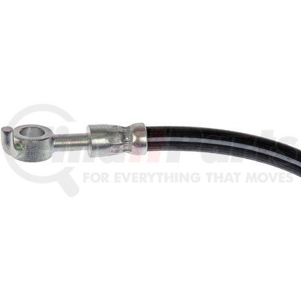 H629025 by DORMAN - Brake Hydraulic Hose