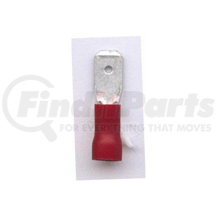 1-53006 by PHILLIPS INDUSTRIES - Slip-On Terminal-22-18 ga., 0.250" Male, PVC, Red, Polybag