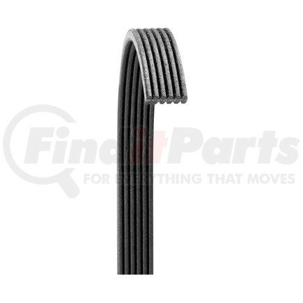Dayco 6080533 Serpentine Belt POLY RIB BELT, DAYCO