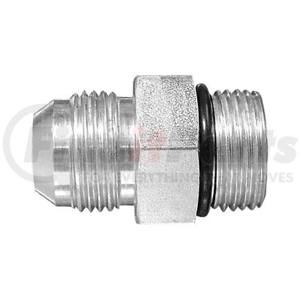 145509 by DAYCO - 20MJ-16OR