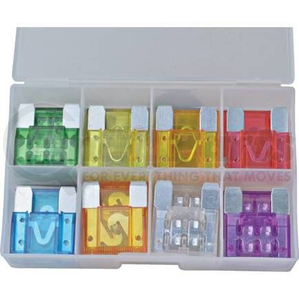 250-01038 by J&N - Bladed Fuse Assortment