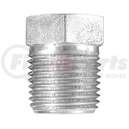 Dayco 145589 Hydraulic Coupling / Adapter 06MP-08FOR