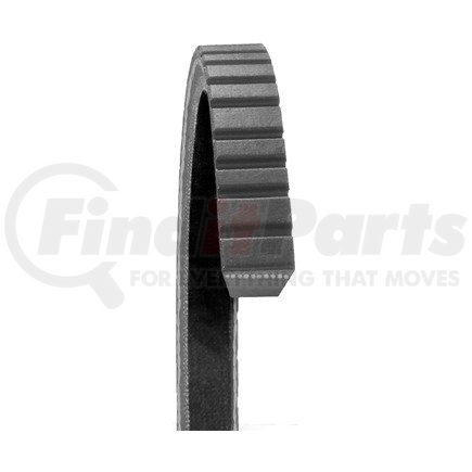 17250 by DAYCO - V-BELT, DAYCO