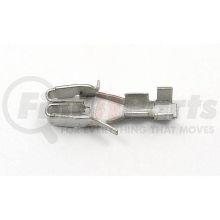 CG19 by STANDARD IGNITION - OEM TERMINALS