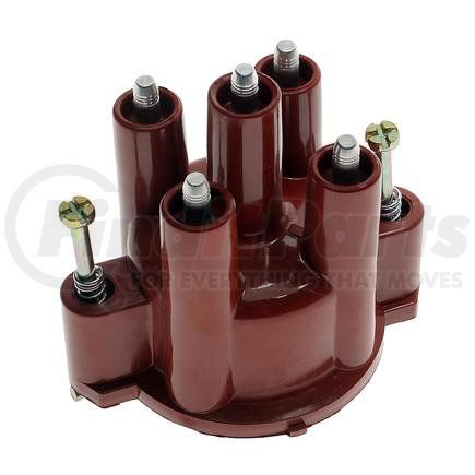 GB-447 by STANDARD IGNITION - Intermotor Distributor Cap