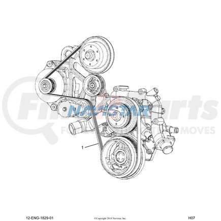 1842458C1 by NAVISTAR - Accessory Drive Belt