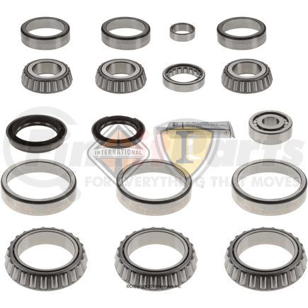 DS211222 by NAVISTAR - Bearing and Seal Kit