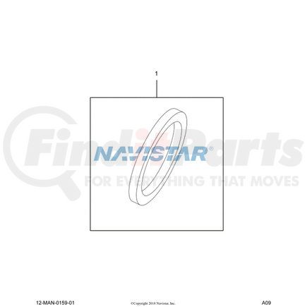 3005519C1 by NAVISTAR - Multi-Purpose O-Ring