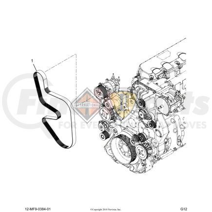 1842469C1 by NAVISTAR - Serpentine Belt