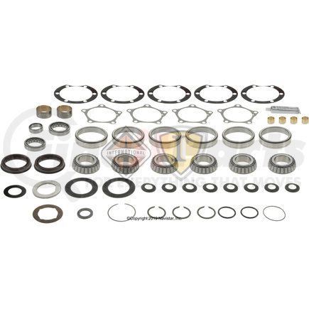 DS114399 by NAVISTAR - Basic Overhaul Kit