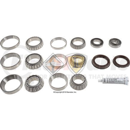 DS114394 by NAVISTAR - Bearing and Seal Kit