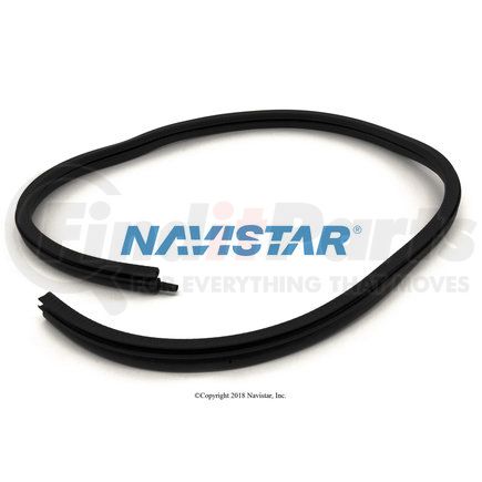 3803027C3 by NAVISTAR - INTERNATIONAL SEAL  LUGGAGE DOO