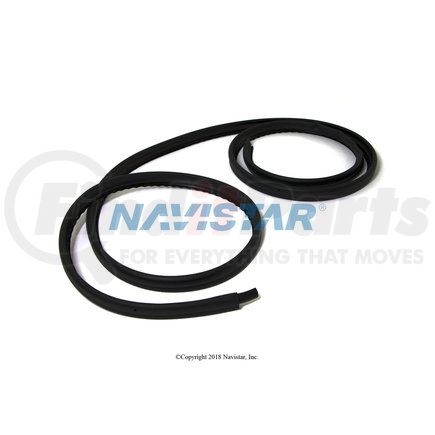 498722C2 by NAVISTAR - INTERNATIONAL SEAL DOOR