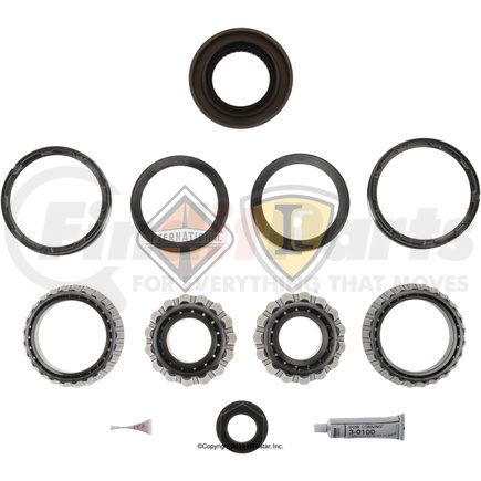 DS514014 by NAVISTAR - Bearing and Seal Kit