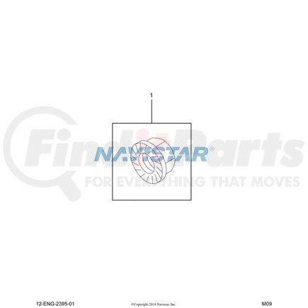 1847905C1 by NAVISTAR - INTERNATIONAL NUT M6 SERRATED FLANGE