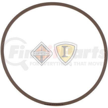 DS599962 by NAVISTAR - Backup Ring 2 Per