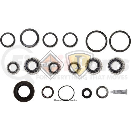 DS514238 by NAVISTAR - Bearing and Seal Kit