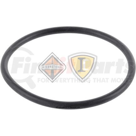 DS073492 by NAVISTAR - Seal Ring 4Per