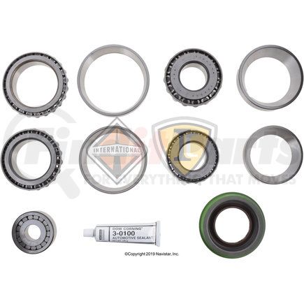 DS211223 by NAVISTAR - Bearing and Seal Kit