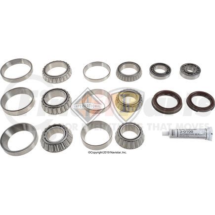 ETN0114394 by NAVISTAR - Differential Bearing/Seal Kit