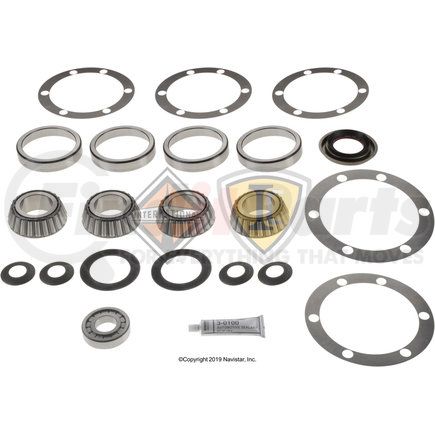 DS511891 by NAVISTAR - Basic Overhaul Kit