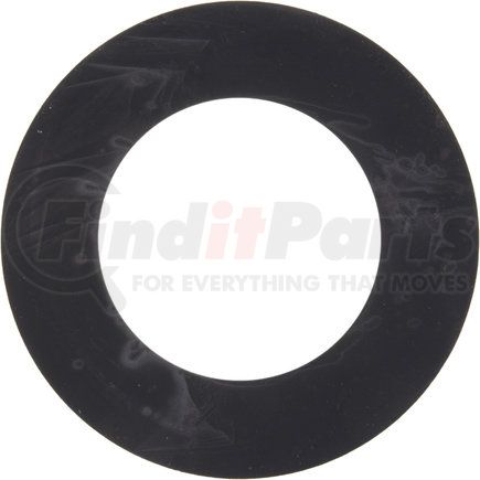 DS018198 by NAVISTAR - Thrust Washer