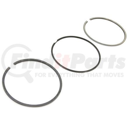 1960044 by PACCAR - Piston Ring Set