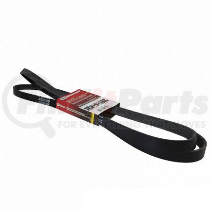 JK61013AC by MOTORCRAFT - Serpentine Belt