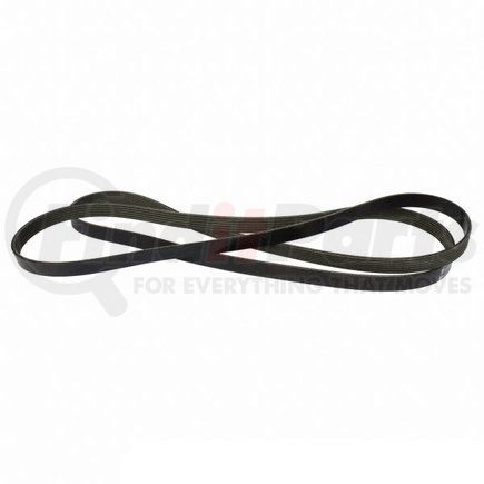 JK61021A by MOTORCRAFT - Serpentine Belt - V-Belt