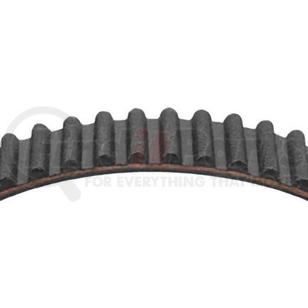 95126 by DAYCO - TIMING BELT, DAYCO