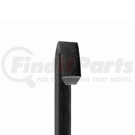 RB832 by DAYCO - BANDED V, DAYCO