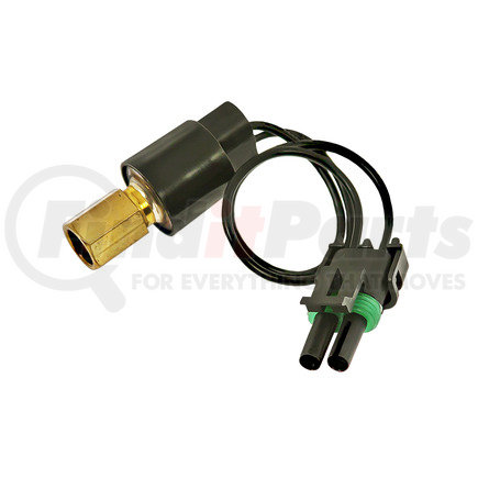 29-30742 by OMEGA ENVIRONMENTAL TECHNOLOGIES - HIGH PRESSURE SWITCH