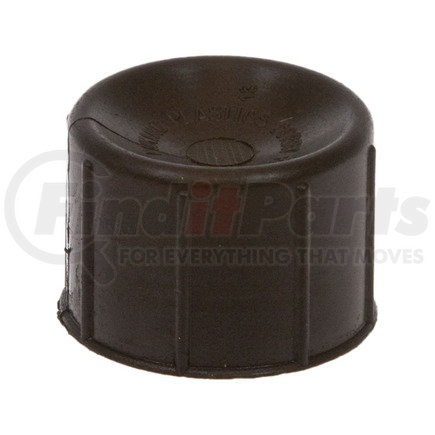 40-10234 by OMEGA ENVIRONMENTAL TECHNOLOGIES - A/C Service Valve Cap