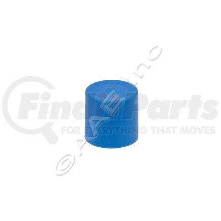 40-10290 by OMEGA ENVIRONMENTAL TECHNOLOGIES - A/C Service Valve Cap