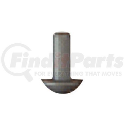 10001102 by PREMIER - Drive Screw