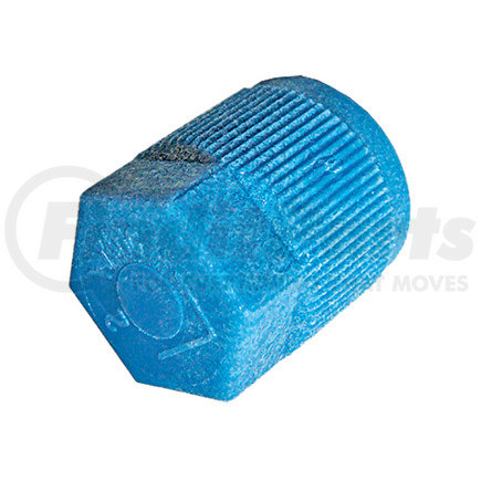 MT0061 by OMEGA ENVIRONMENTAL TECHNOLOGIES - 5 PK R134A VALVE CAP - BLUE M9X1 LOW SIDE QUICK