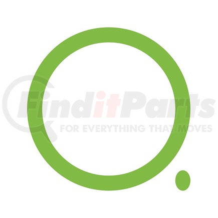 MT0036-10 by OMEGA ENVIRONMENTAL TECHNOLOGIES - 10 PK GREEN HNBR O-RING - GM OVAL SUCTION/DISCHARG
