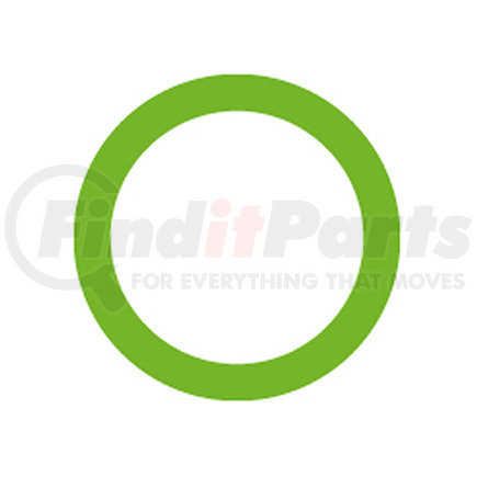 MT0253-10 by OMEGA ENVIRONMENTAL TECHNOLOGIES - 10 PER GREEN HNBR O-RING - JAGUAR