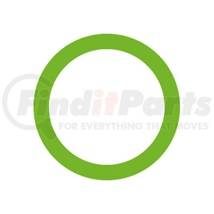 MT0257 by OMEGA ENVIRONMENTAL TECHNOLOGIES - 20 PER GREEN HNBR O-RING - CHR/CITR/GM/LEX/MAZ