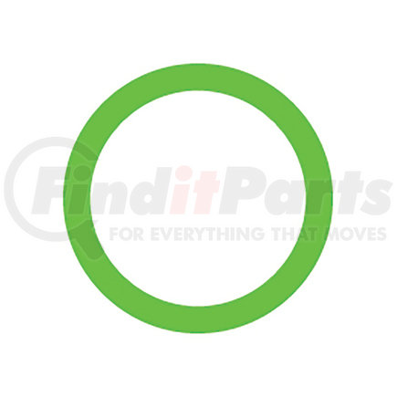 MT0255 by OMEGA ENVIRONMENTAL TECHNOLOGIES - 20 PER GREEN HNBR O-RING - FORD-UK