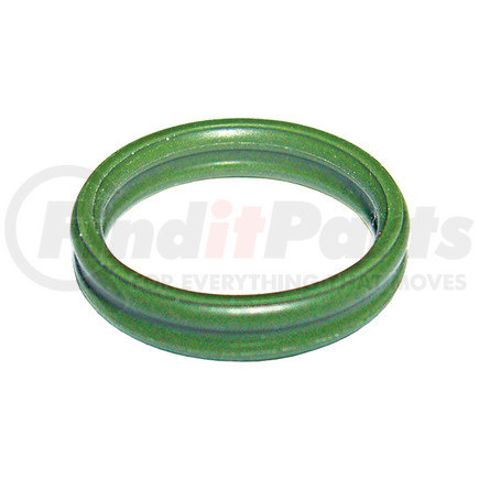 MT1106 by OMEGA ENVIRONMENTAL TECHNOLOGIES - 25 PK, FIAT DOUBLE O-RING #10  FIAT: 10552183