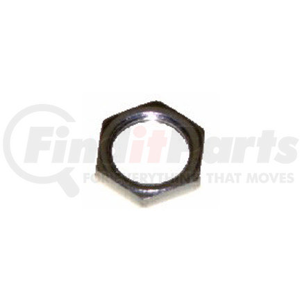 40-61900 by OMEGA ENVIRONMENTAL TECHNOLOGIES - NUT FOR THERMOSTATS/SWITCHES