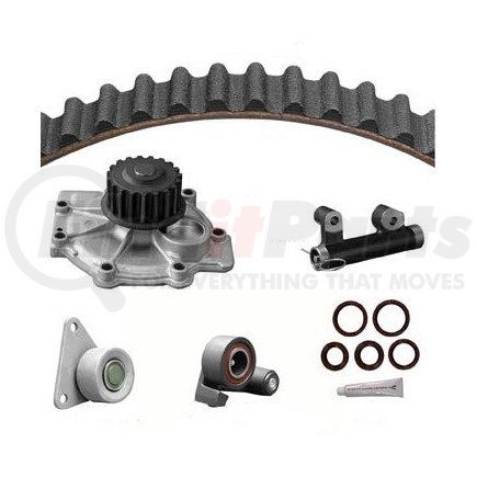 Dayco WP252K1DS Engine Timing Belt Kit with Water Pump WATER PUMP KIT WITH SEALS, DAYCO
