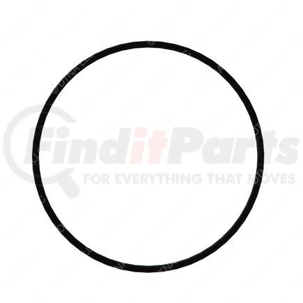 DDE-A0179978945 by DETROIT DIESEL - O-RING