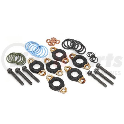 DDE-A4600700987 by DETROIT DIESEL - O-Ring Kit