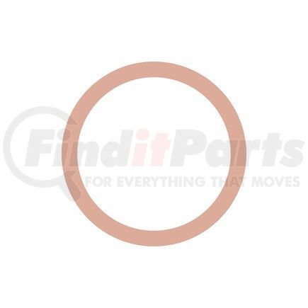 DDE-N007603018101 by DETROIT DIESEL - SEAL RING