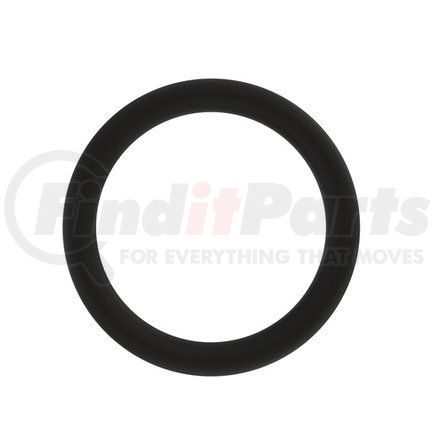 DDE-A4720940160 by DETROIT DIESEL - O-RING