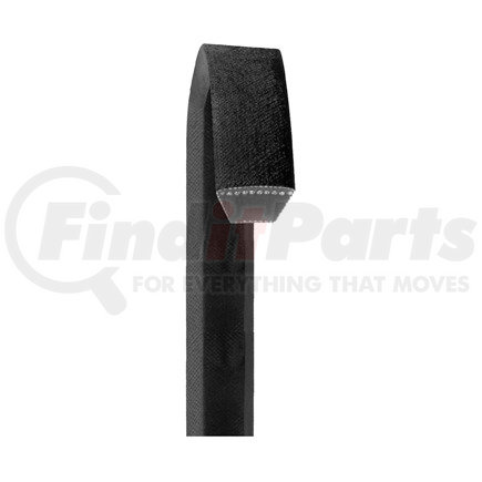 Dayco BP81 Accessory Drive Belt V, DAYCO